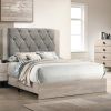 Contemporary 1pc Cream Finish Queen Size Bed Bedroom Furniture Gray Tufted Design Headboard Rubberwood 1pc Bedframe