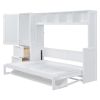 Queen Size Murphy Bed Wall Bed with Closet and Drawers,White