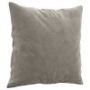 Throw Pillows 2 pcs Light Gray 15.7"x15.7" Velvet