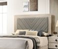 Contemporary 1pc Cream Finish Queen Size Bed Bedroom Furniture Gray V-Design Headboard Rubberwood 1pc Bedframe