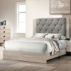 Contemporary 1pc Cream Finish Queen Size Bed Bedroom Furniture Gray Tufted Design Headboard Rubberwood 1pc Bedframe