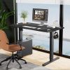 Electric Height Adjustable Standing Desk,Sit to Stand Ergonomic Computer Desk,Black,55'' x 24"