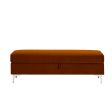 Storage Bench Solid Color 2 Seater Furniture Living Room Sofa Stool